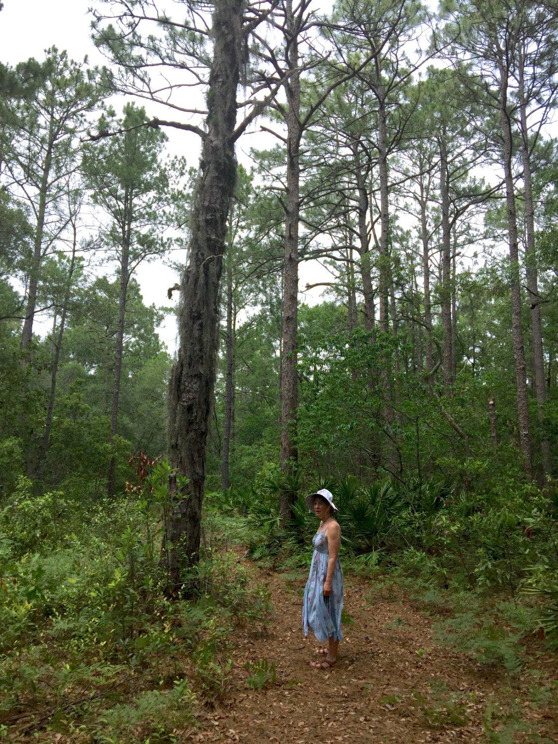 Victoria Bluff Heritage Preserve