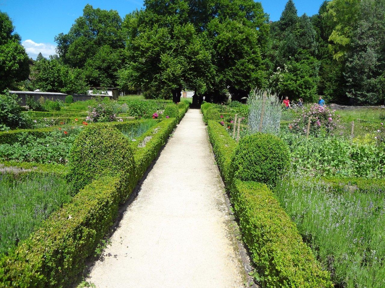 Photo by jurassica02