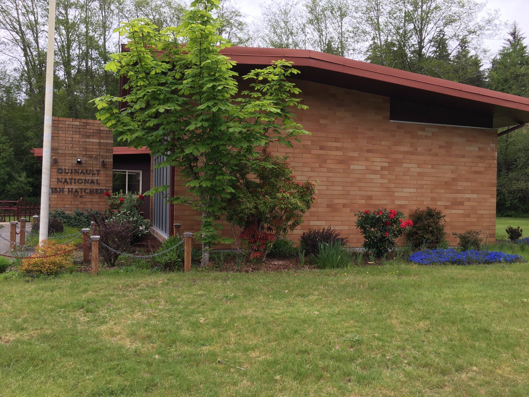 Quinault National Fish Hatchery