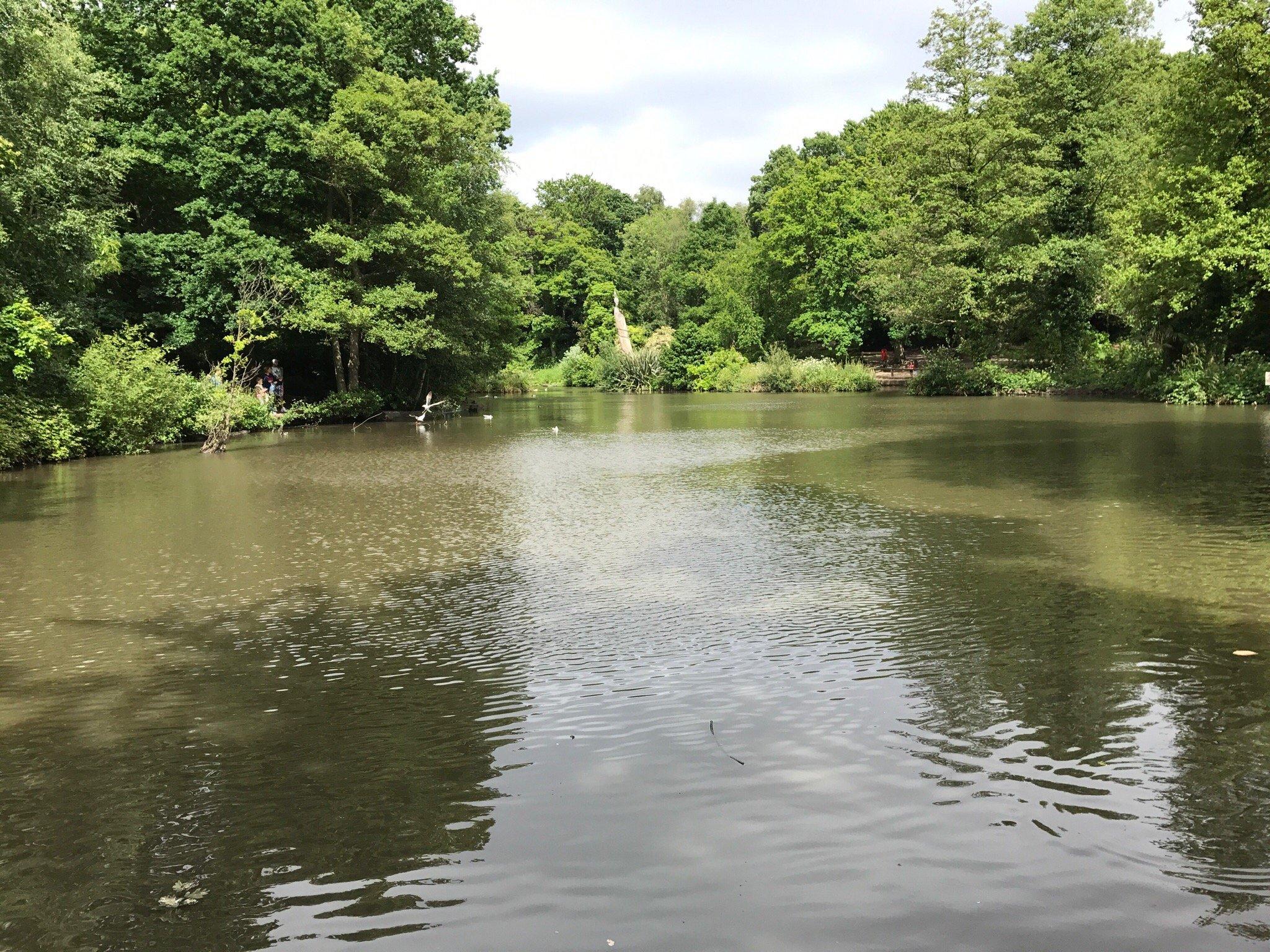 Holly Hill Woodland Park