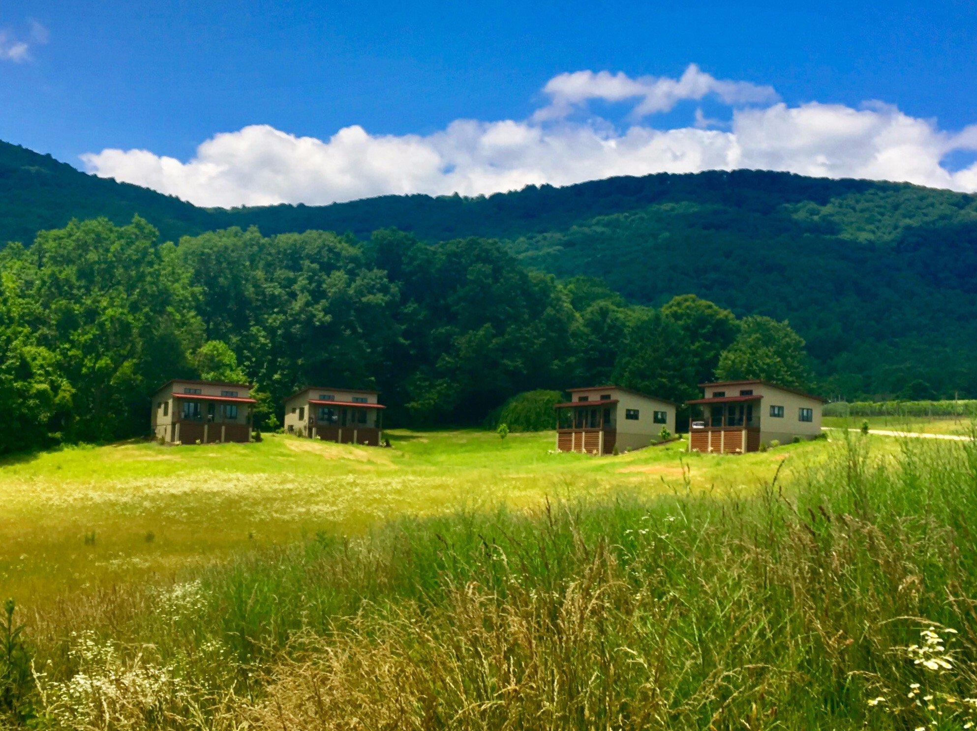 Afton Mountain Vineyards