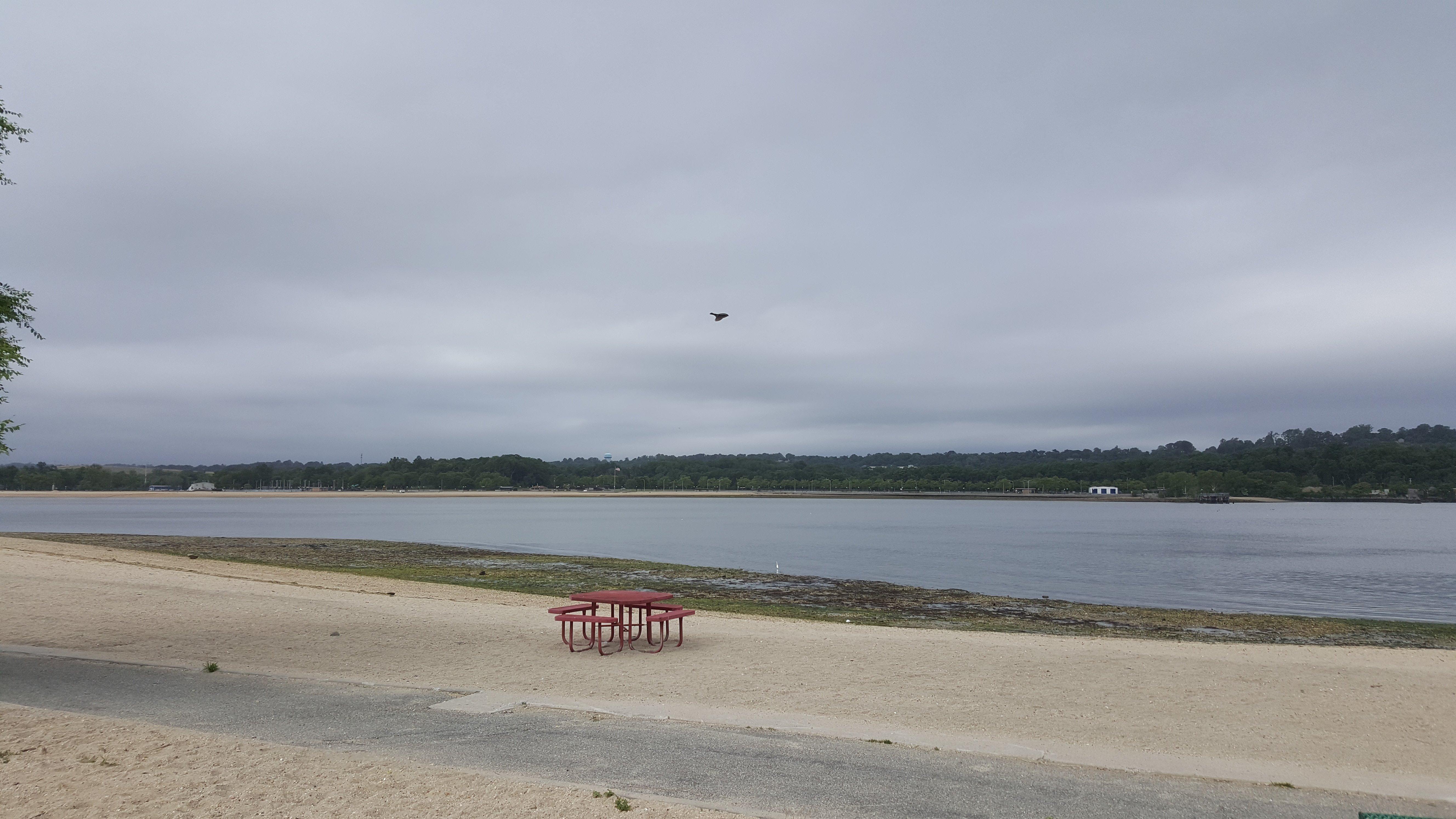 Photo by stevesfastr