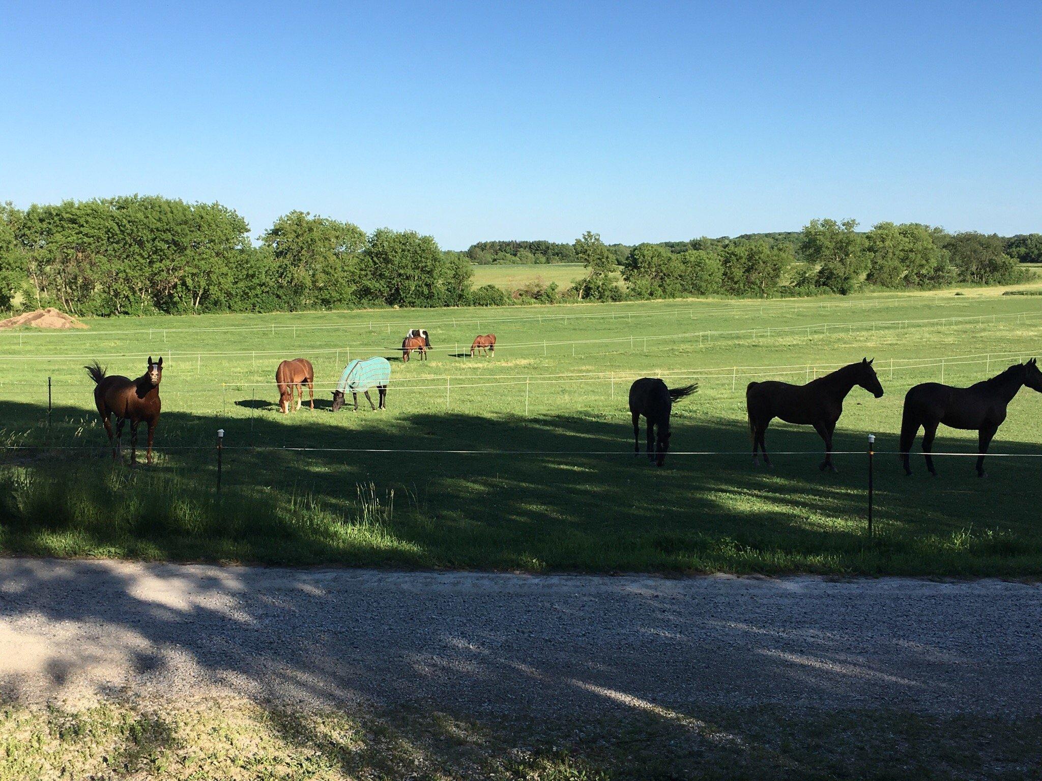 Sundance Farm Campground