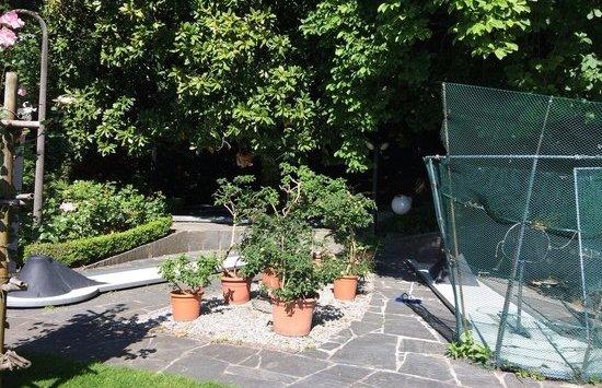 Photo by jurassica02