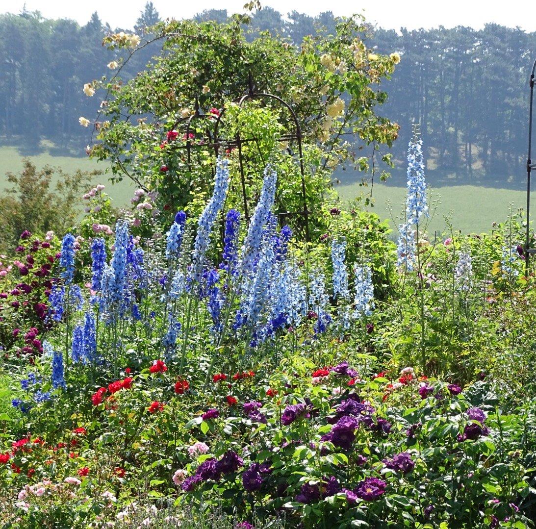 Botanischer Garten der Universität Ulm