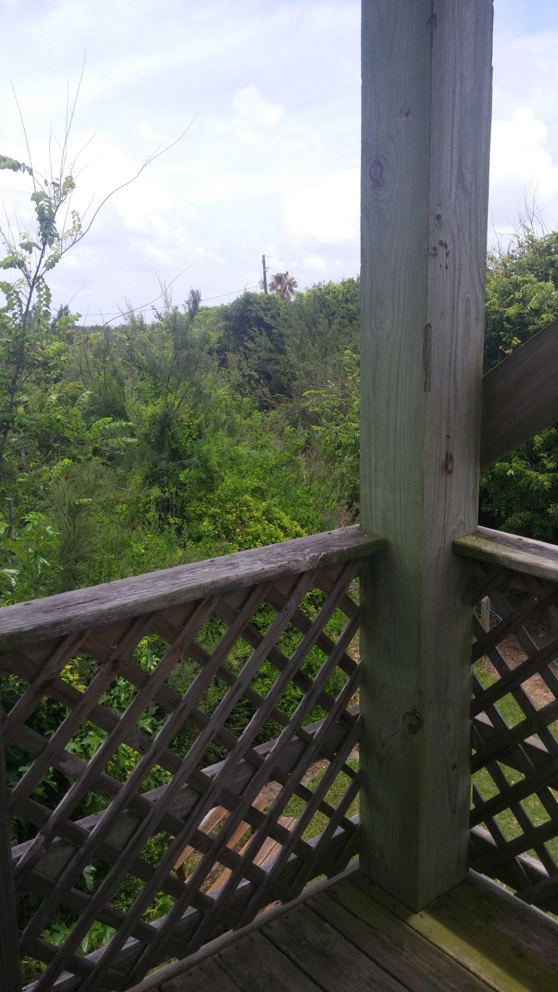 Quintana Neotropical Bird Sanctuary