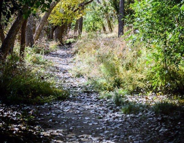 Willow Creek Nature Trail