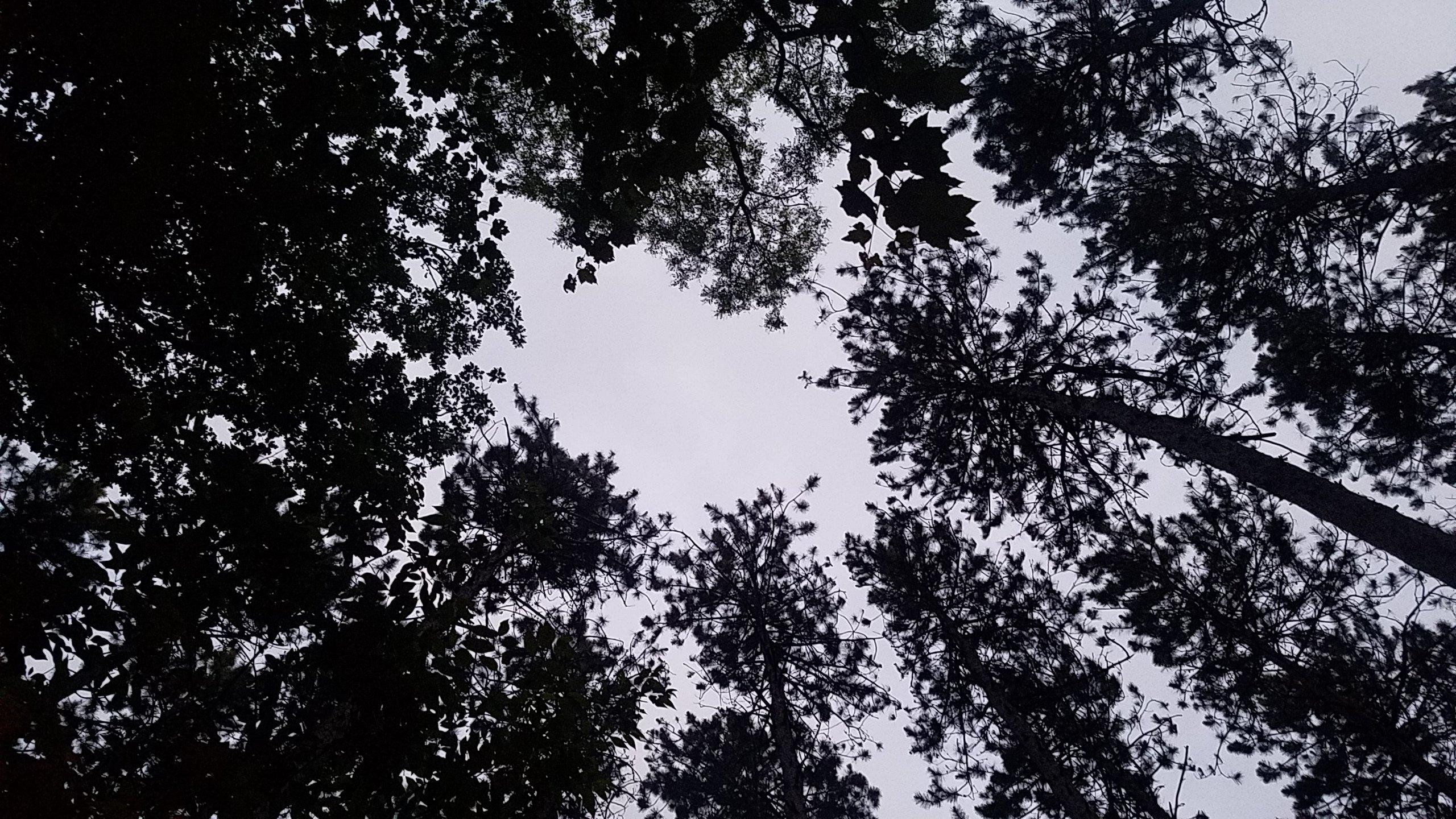 Hartman Creek State Park