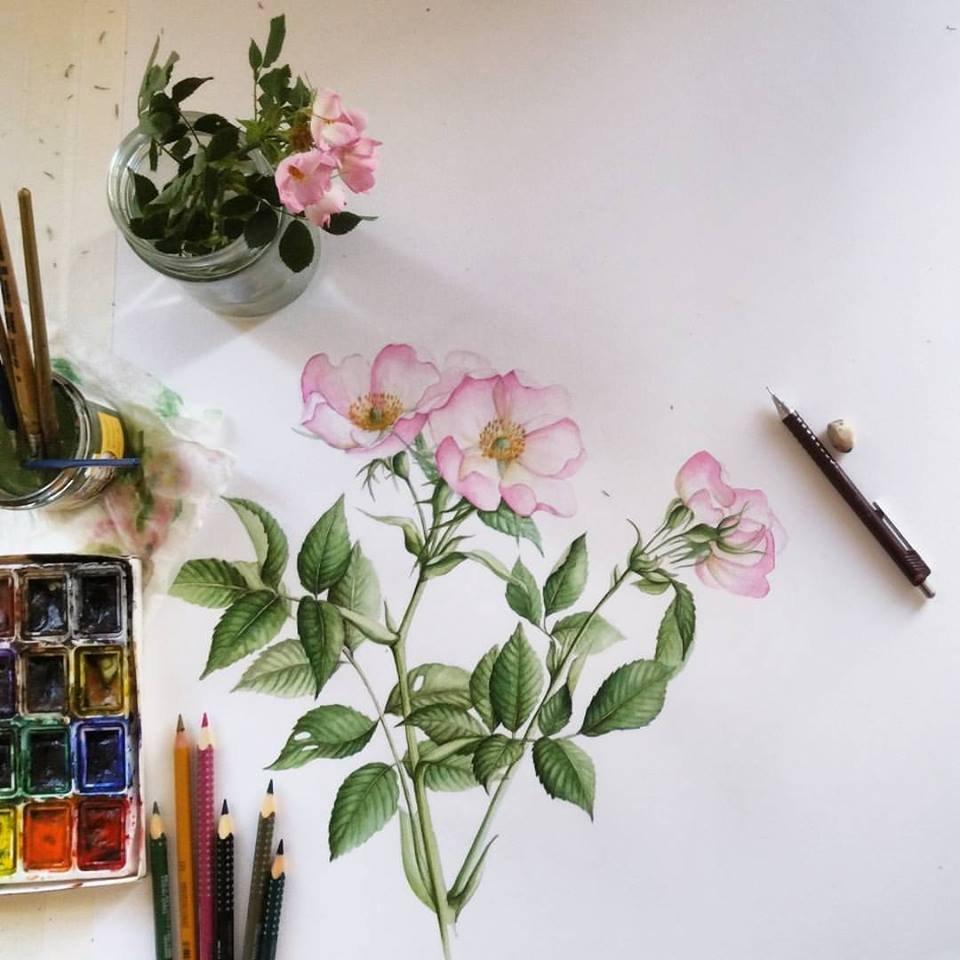 Irina Neacsu Art Studio