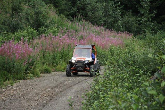 Alaska Mountain Guides Adventures