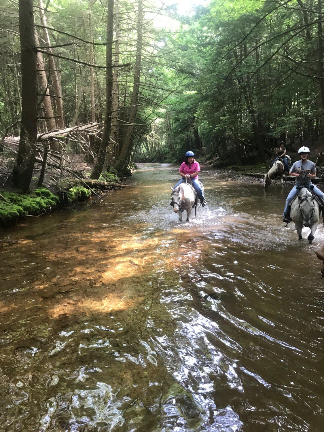 Photo by Leonard123456