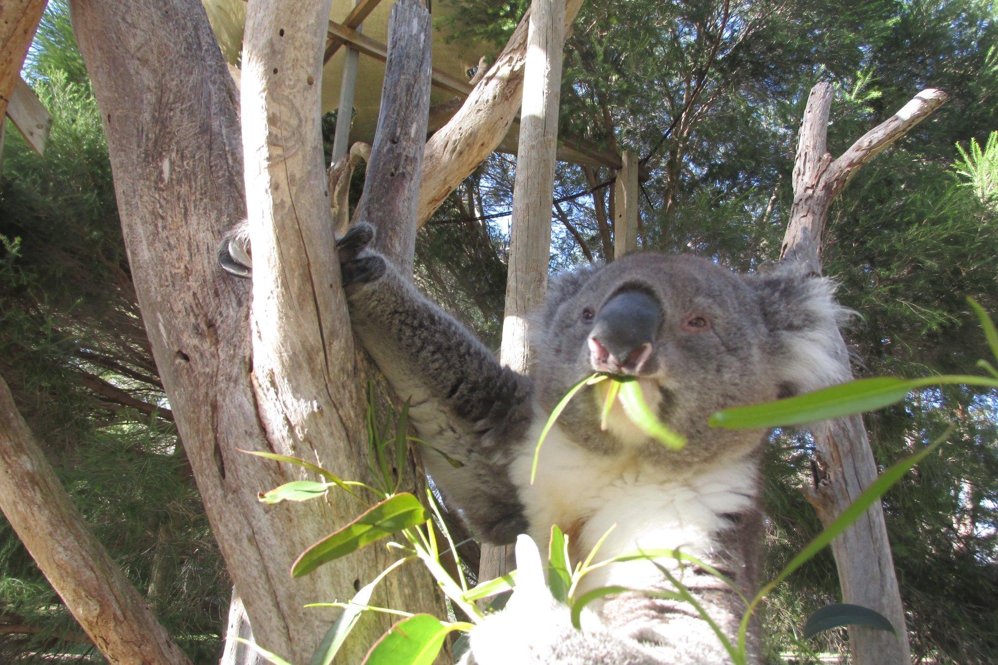 Urimbirra Wildlife Park