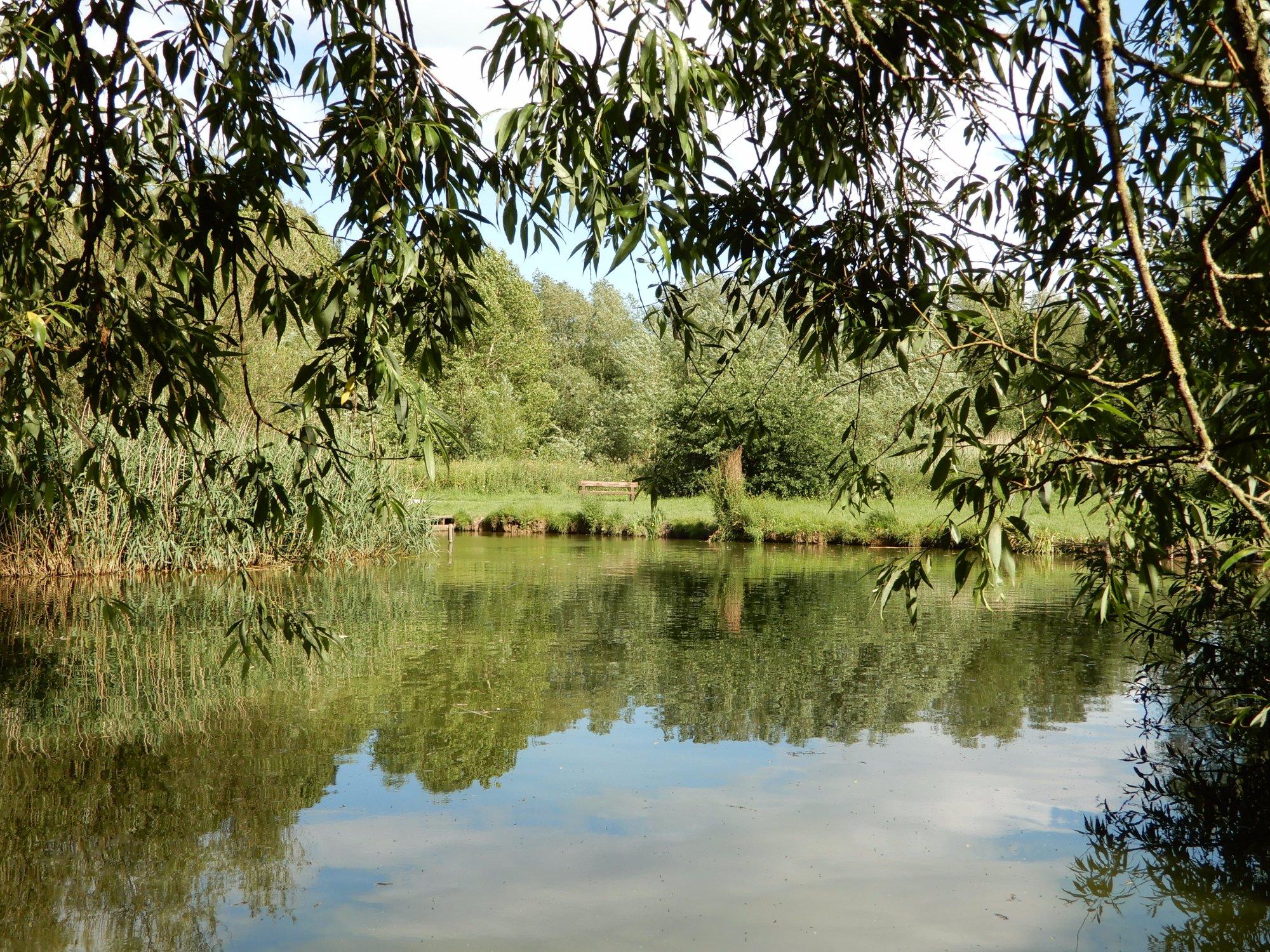 Photo by Philfromcheshire