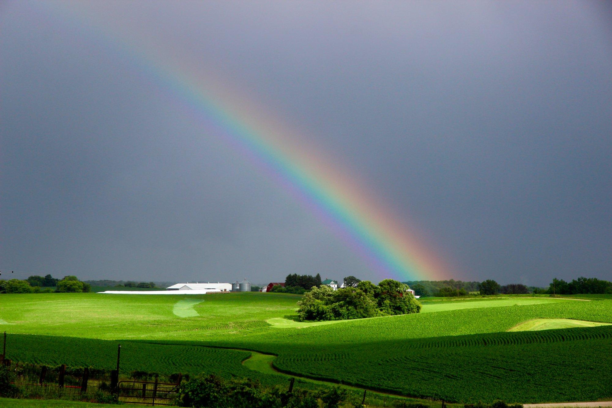 Little House On The Farm