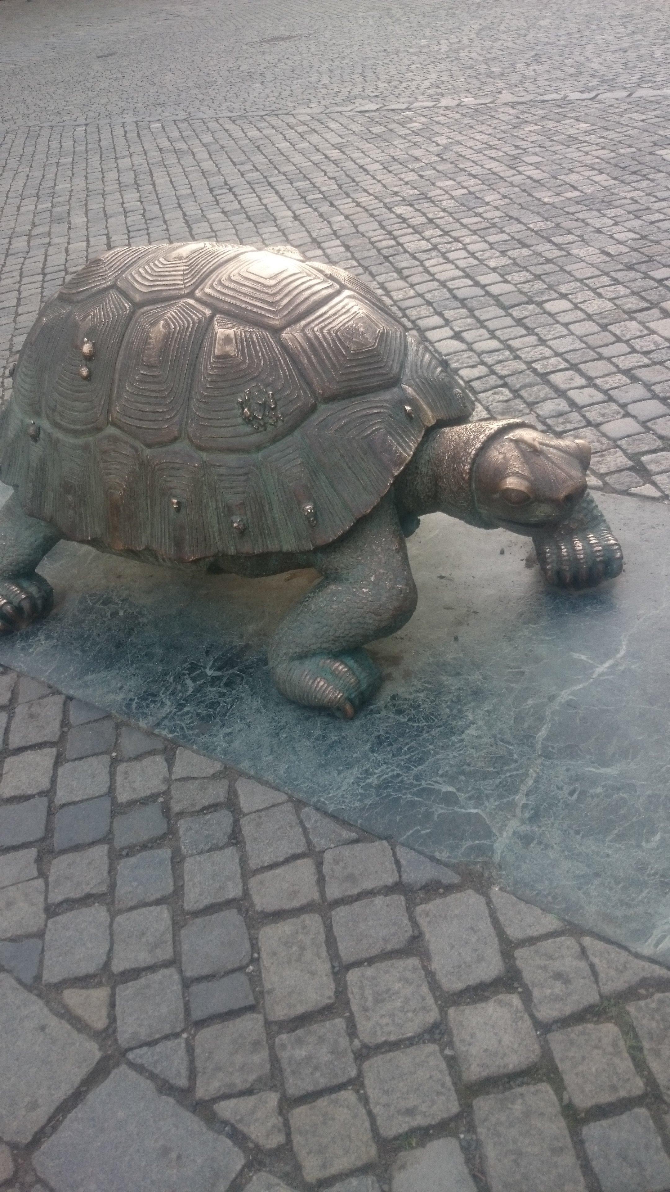 Lanové centrum Olomouc