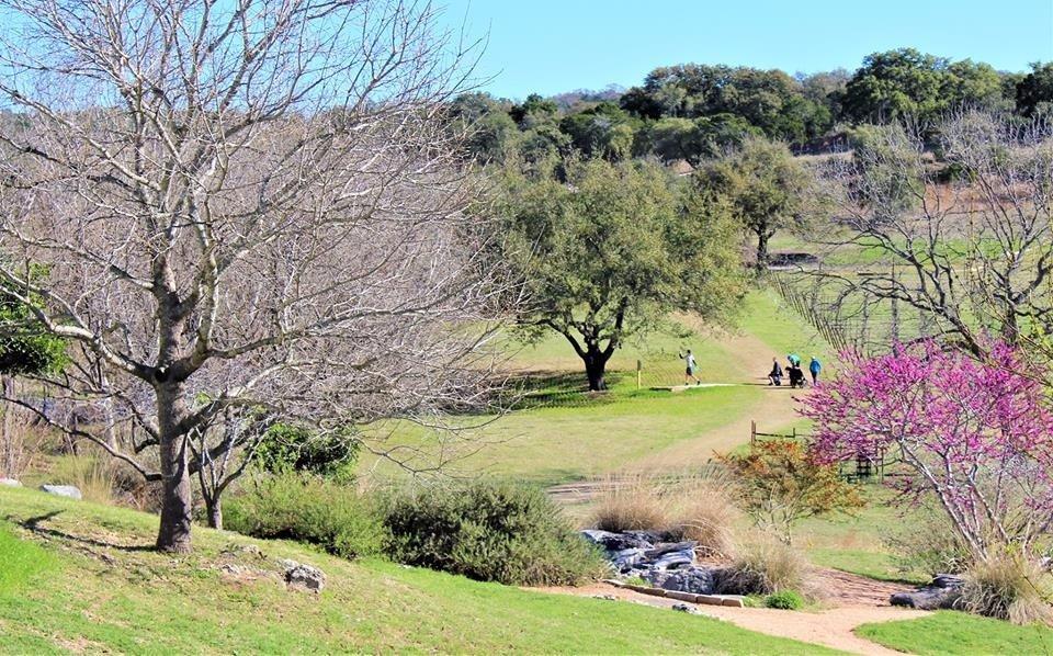 Flat Creek Disc Golf Destination