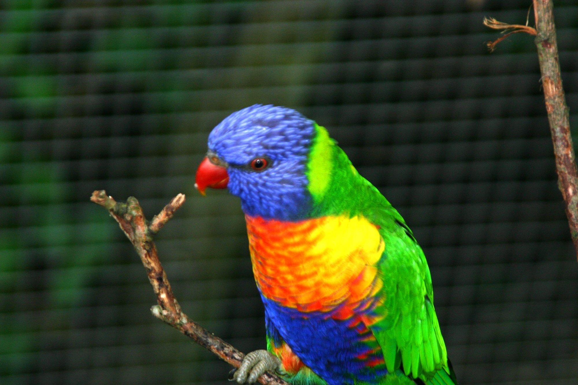 Nordsjaellands Fuglepark