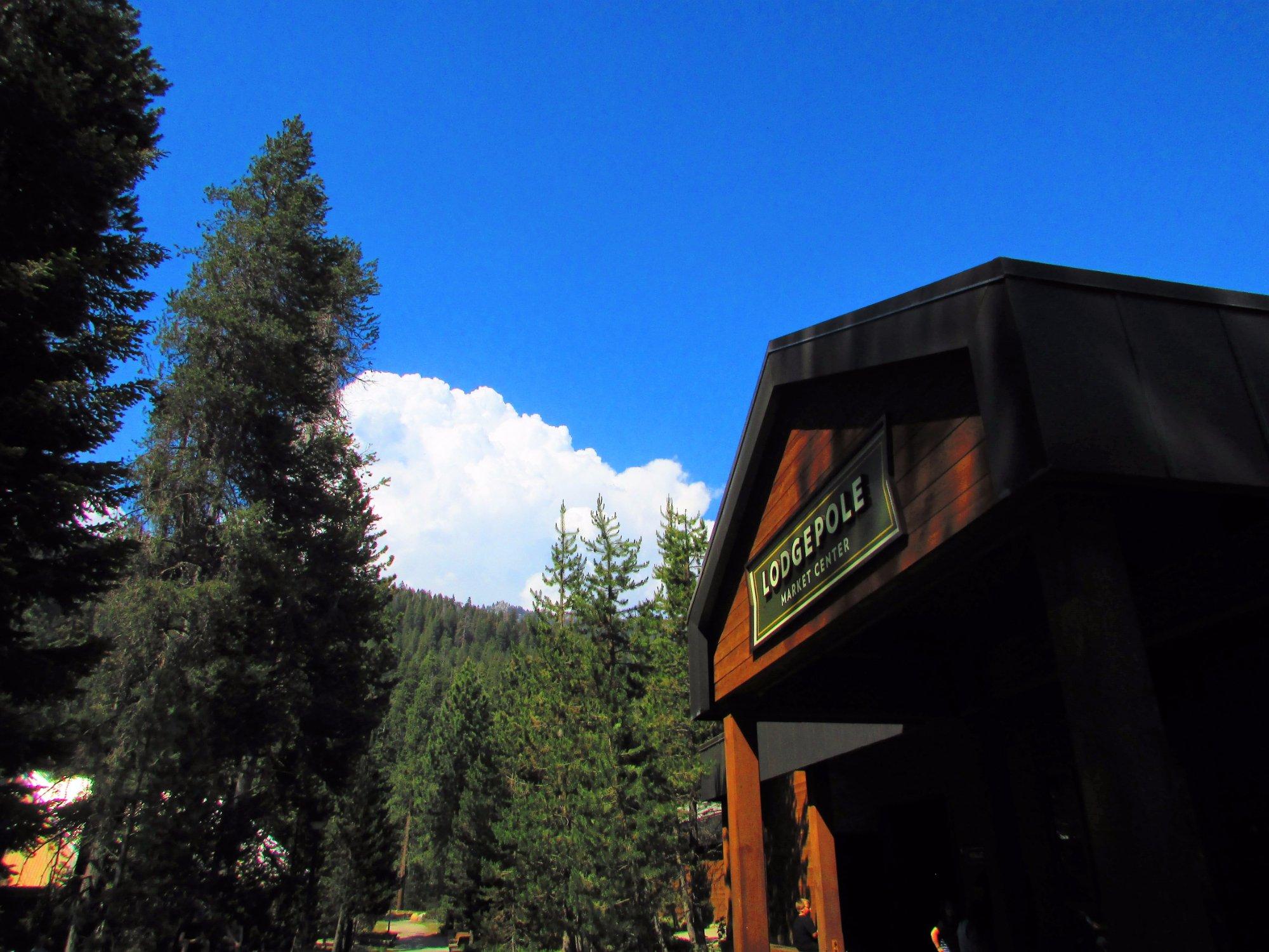 Lodgepole Campground