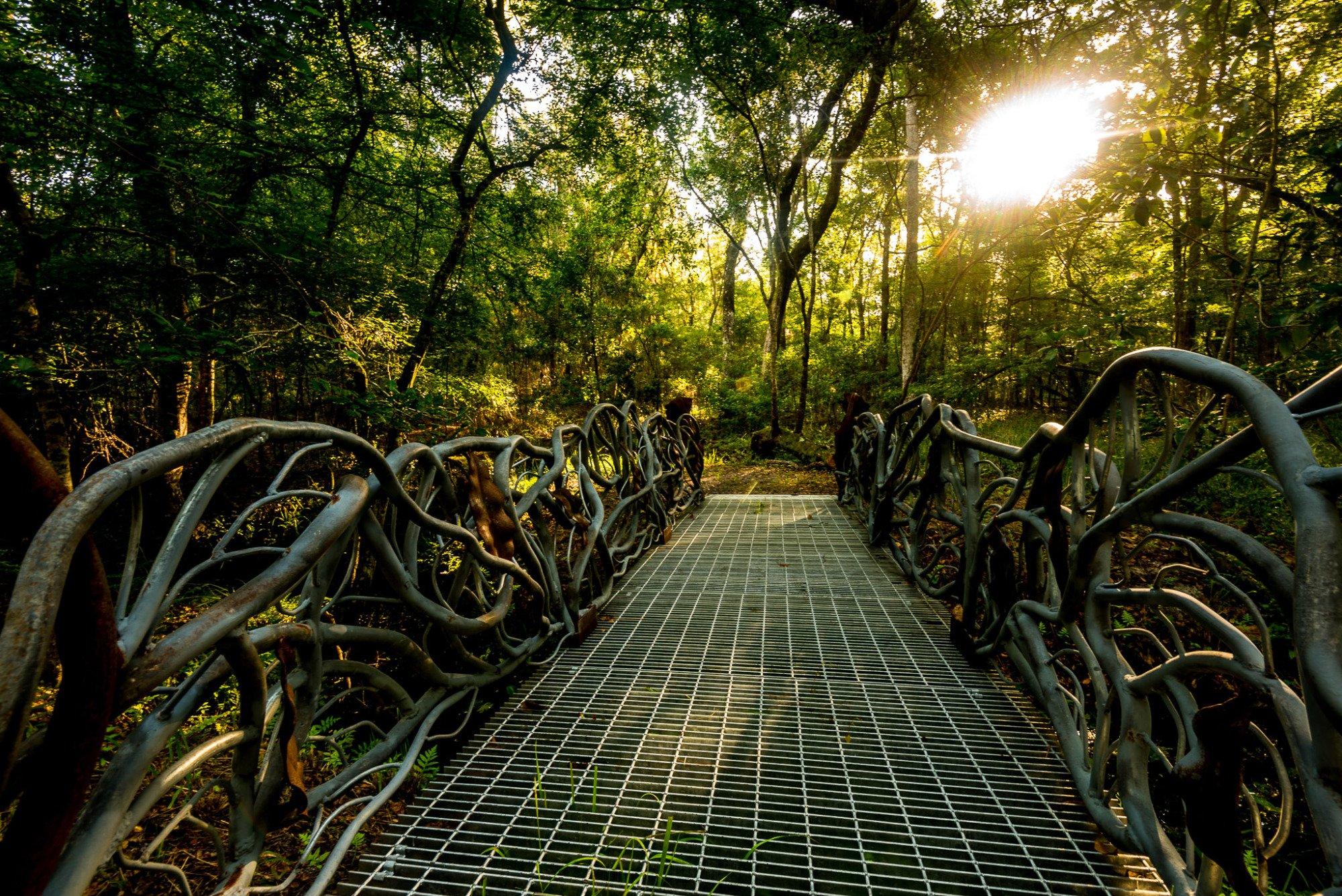 Photo by Wanderlust_at_dawn