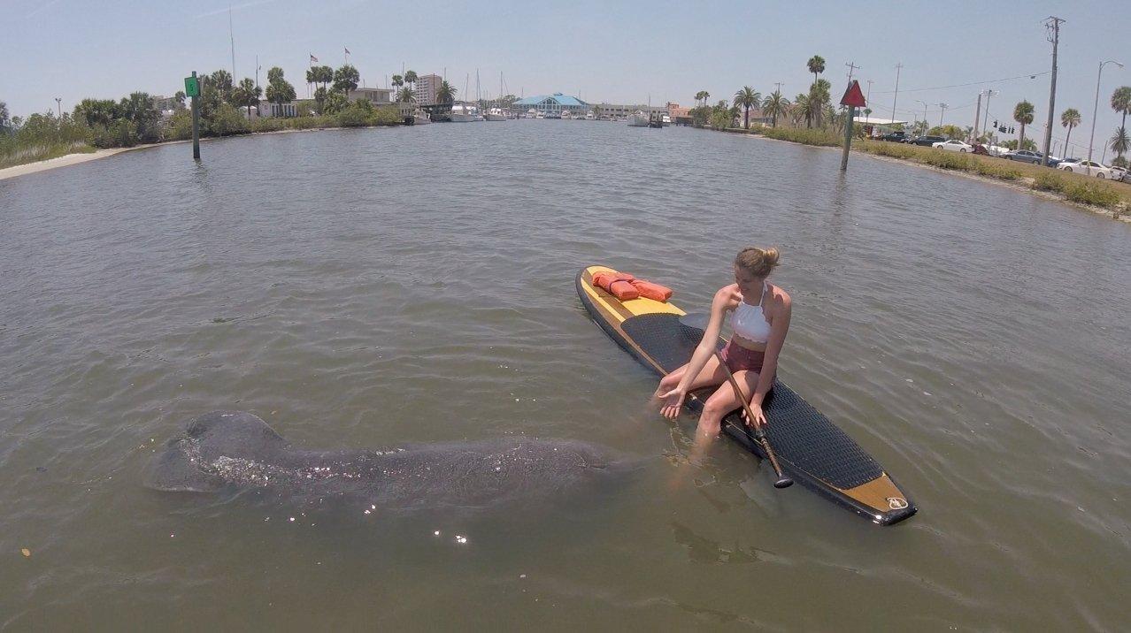 Three Brothers Boards