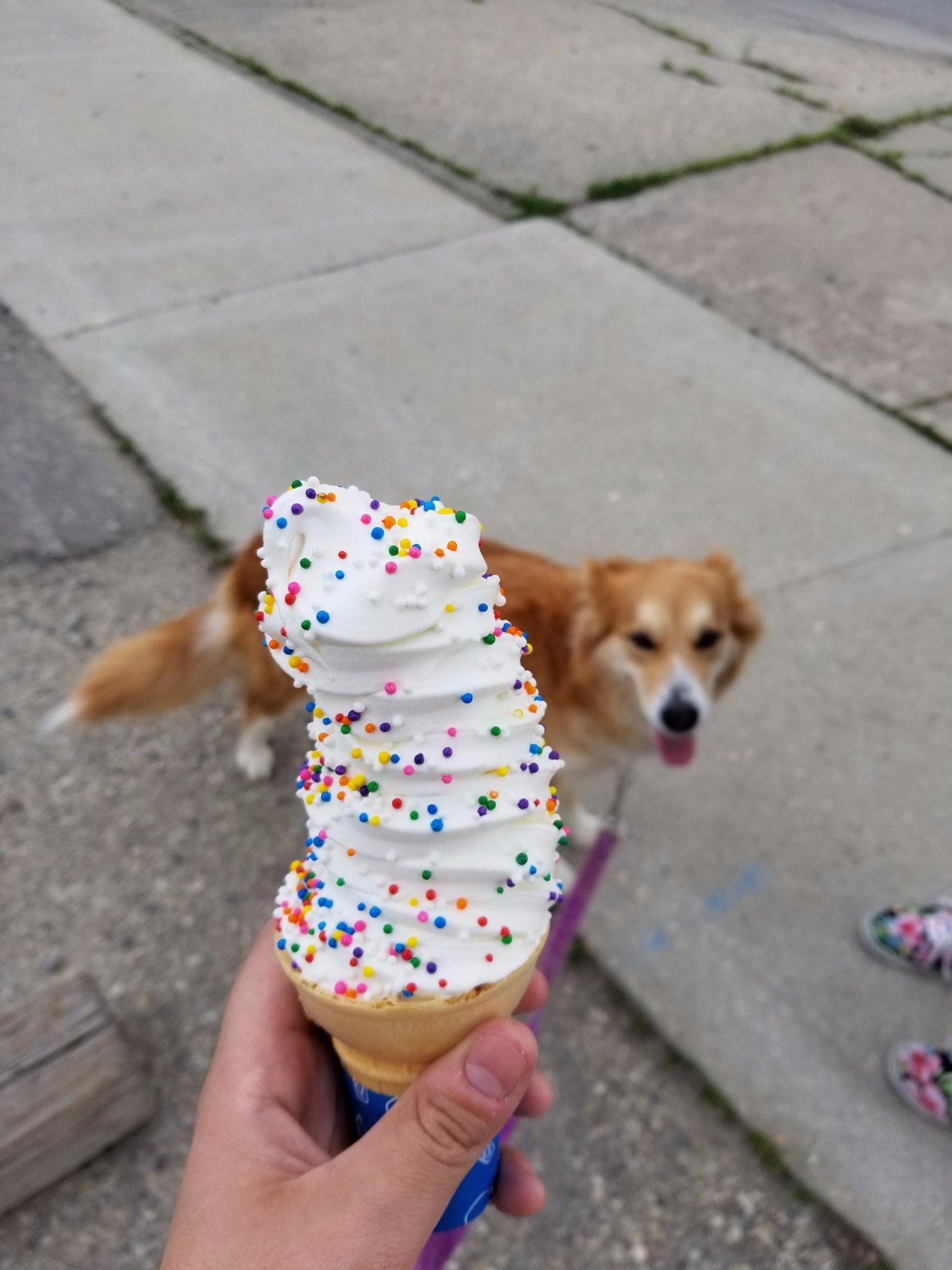 Snak Shak Dairy Bar