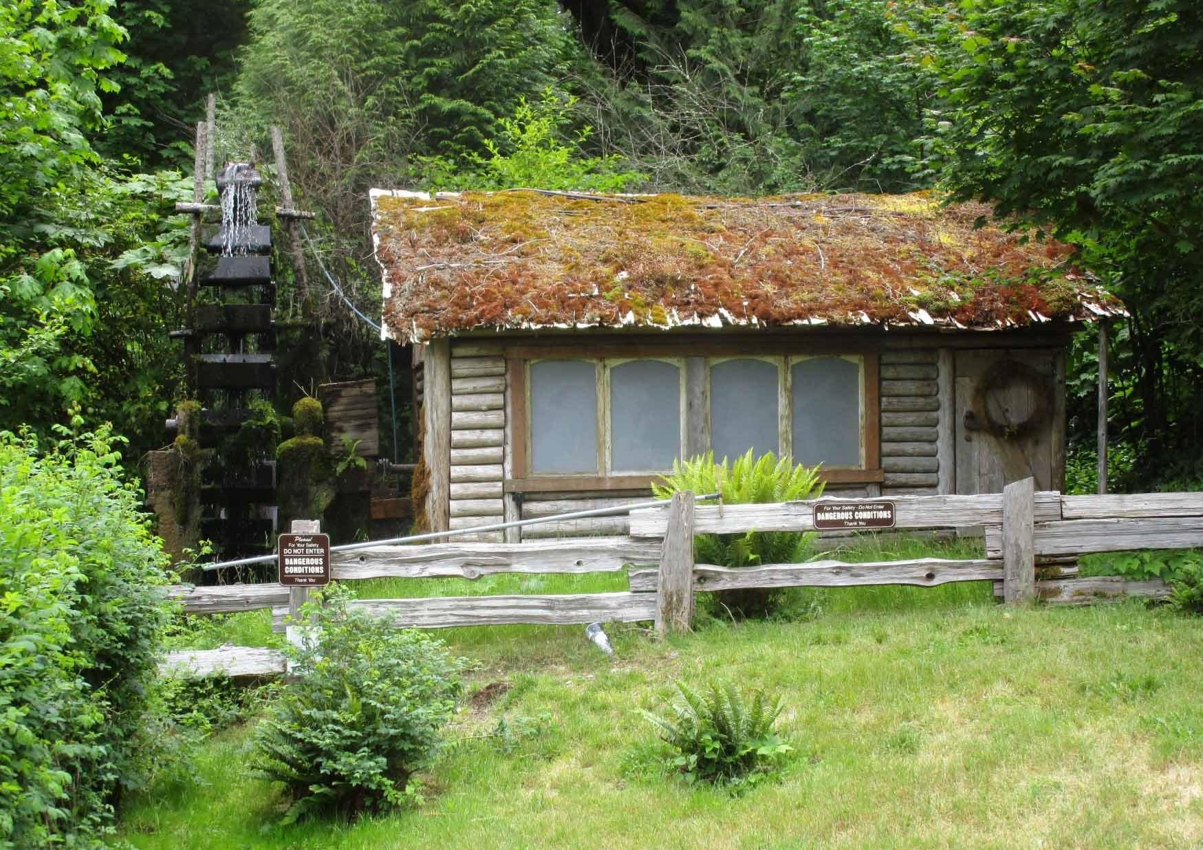 Photo by MitchPhyllis65