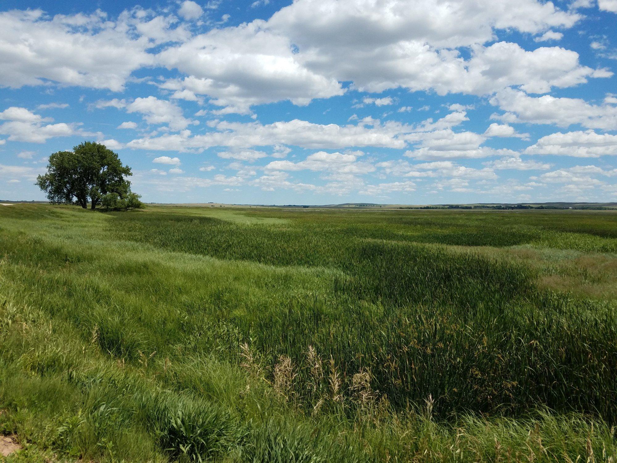 Lacreek National Wildlife Refuge