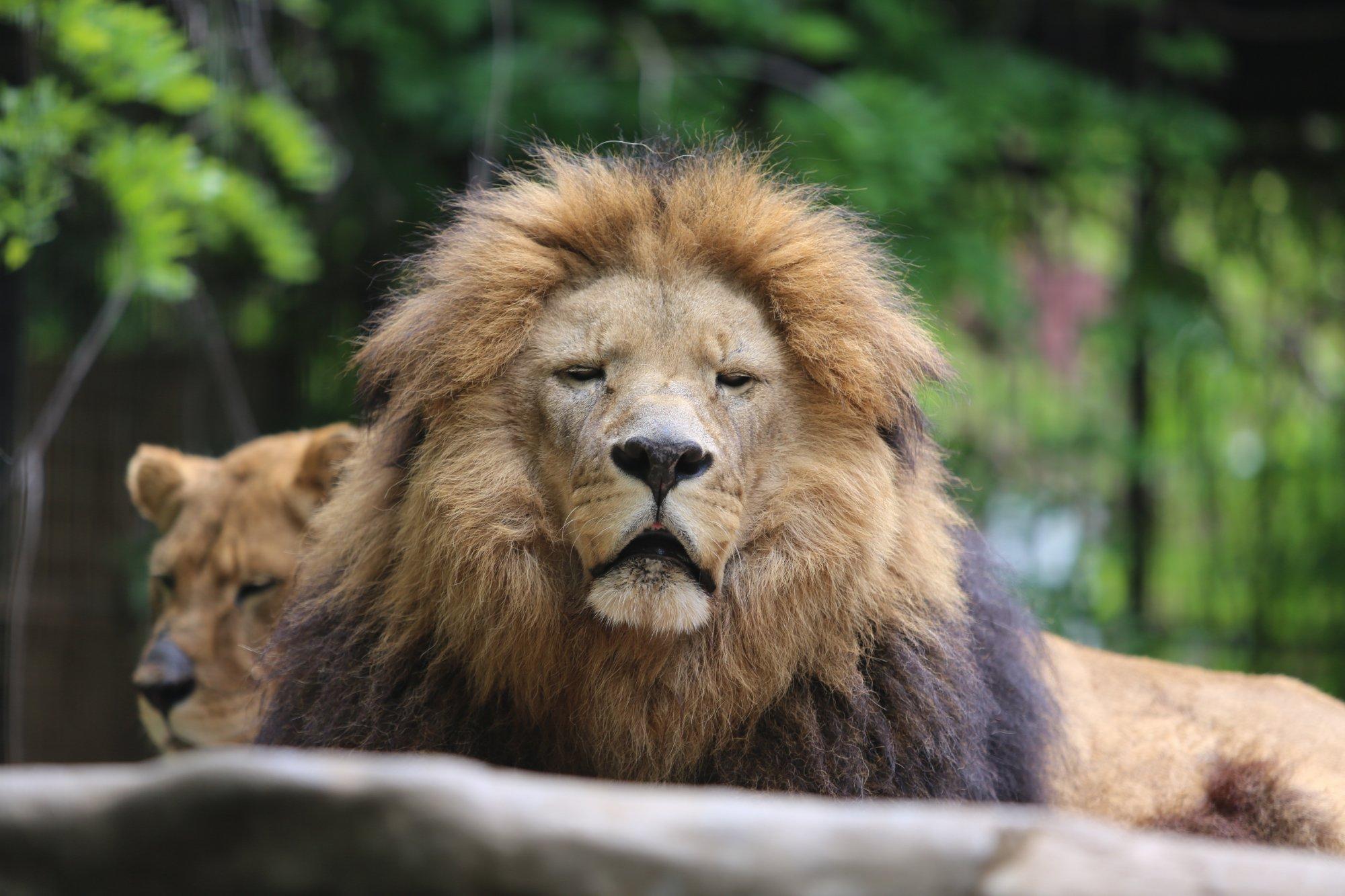 Safari Zoological Park