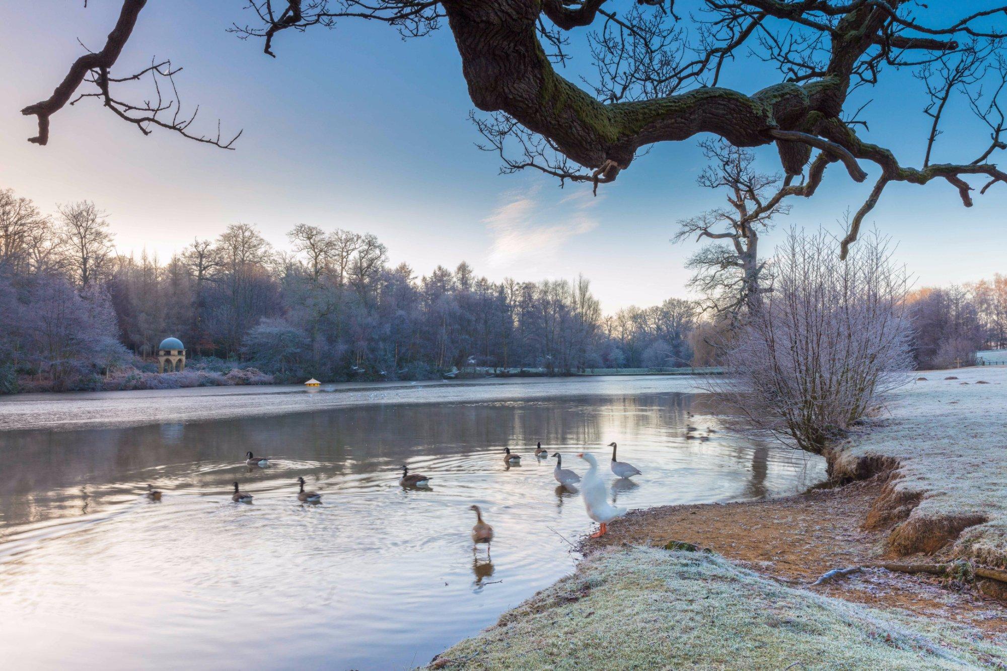 Cowdray Farm Shop & Cafe