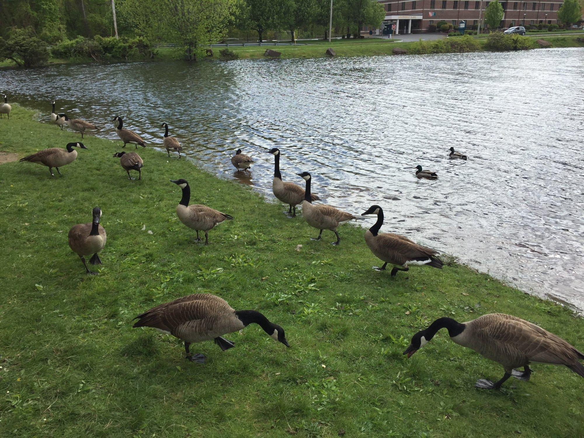 Photo by Eftychia-MA