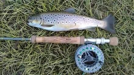 Lomond Hills Fishery
