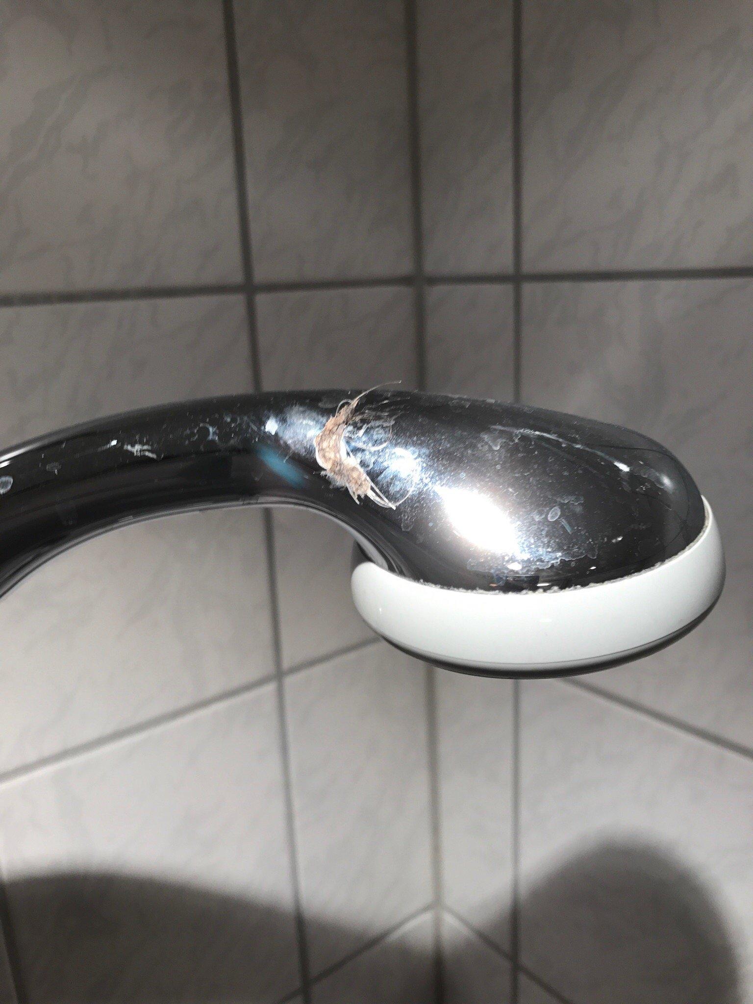 Landgasthof Schafhof