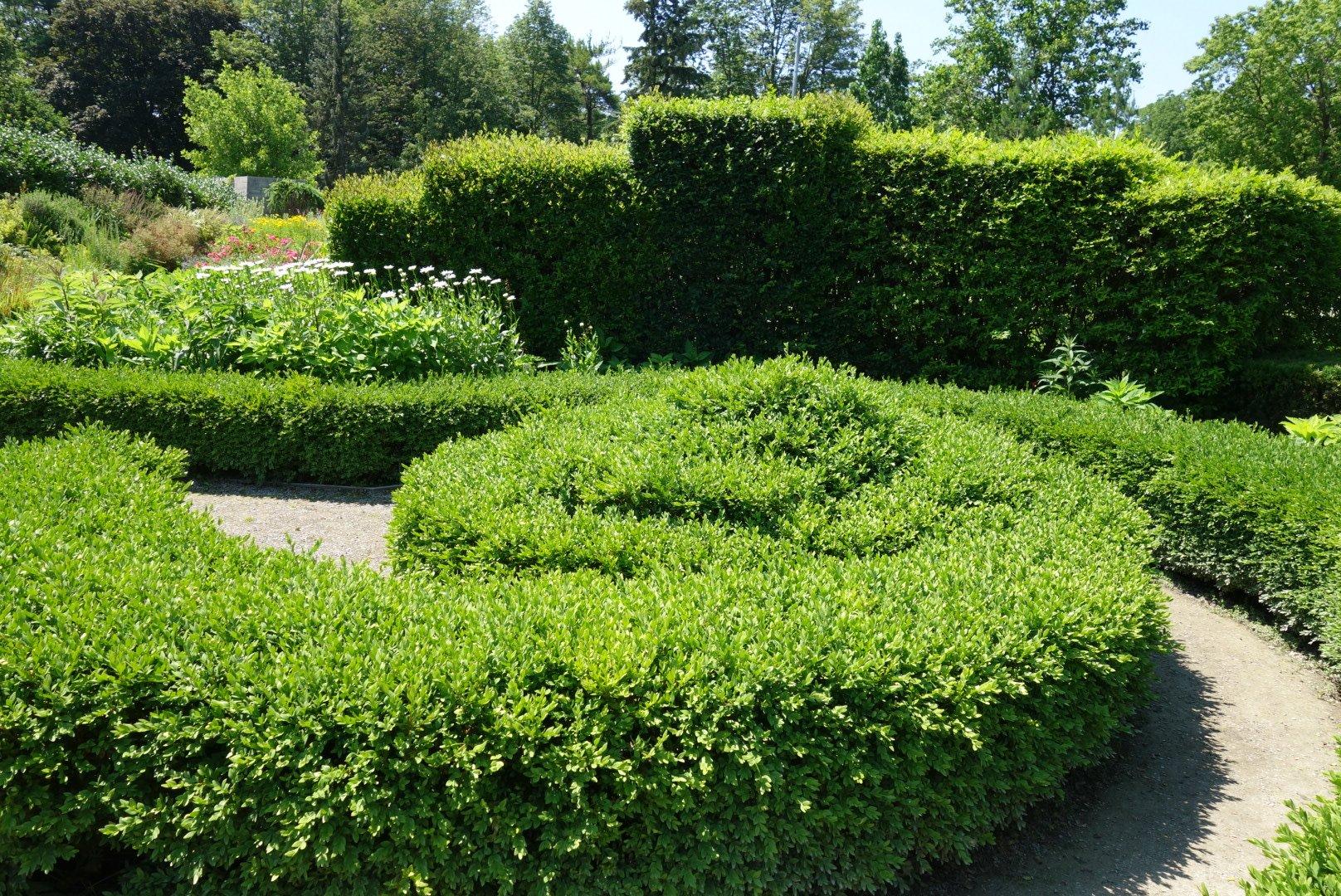 Toronto Botanical Garden