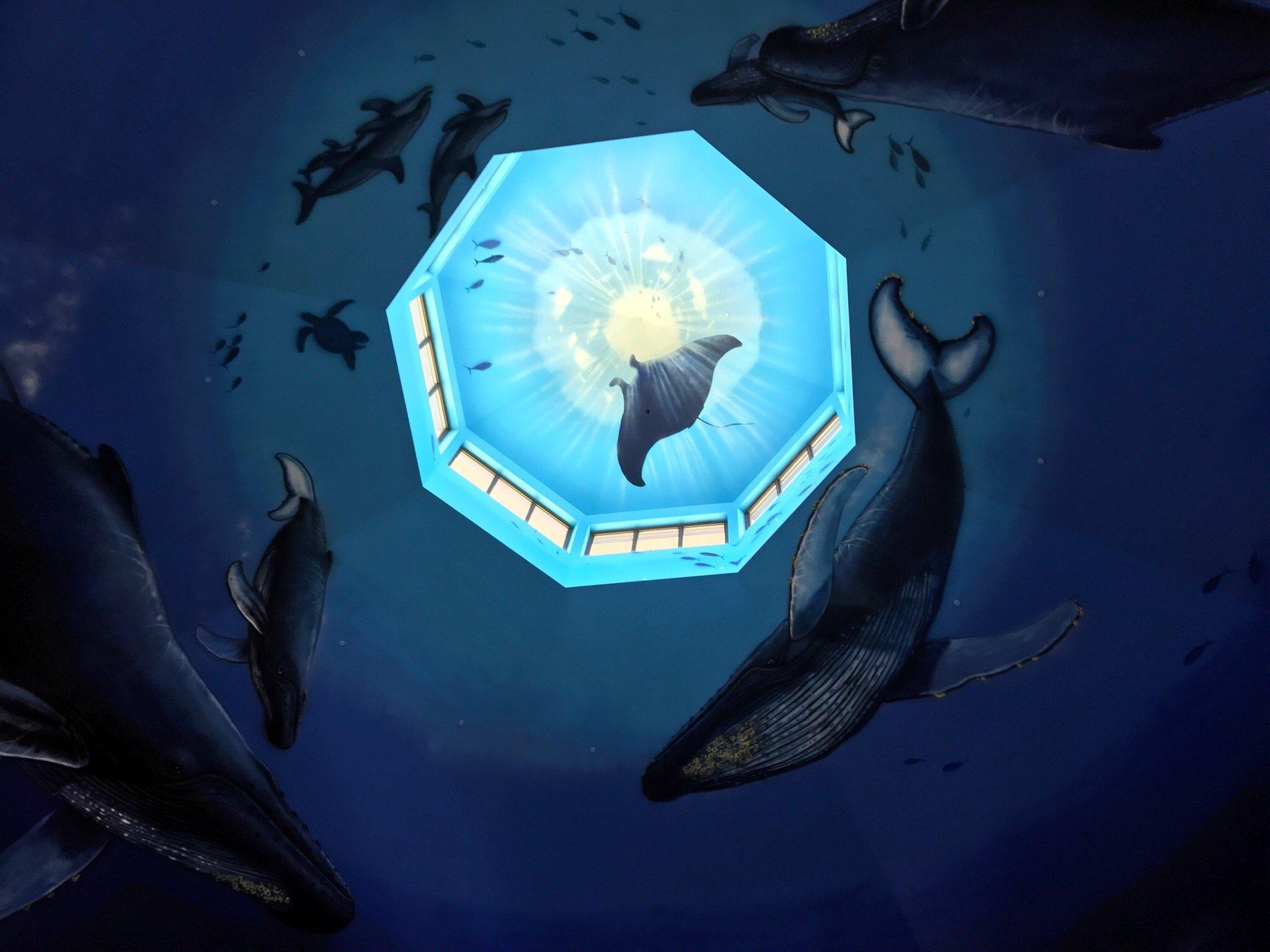 Navy Exchange Pearl Harbor