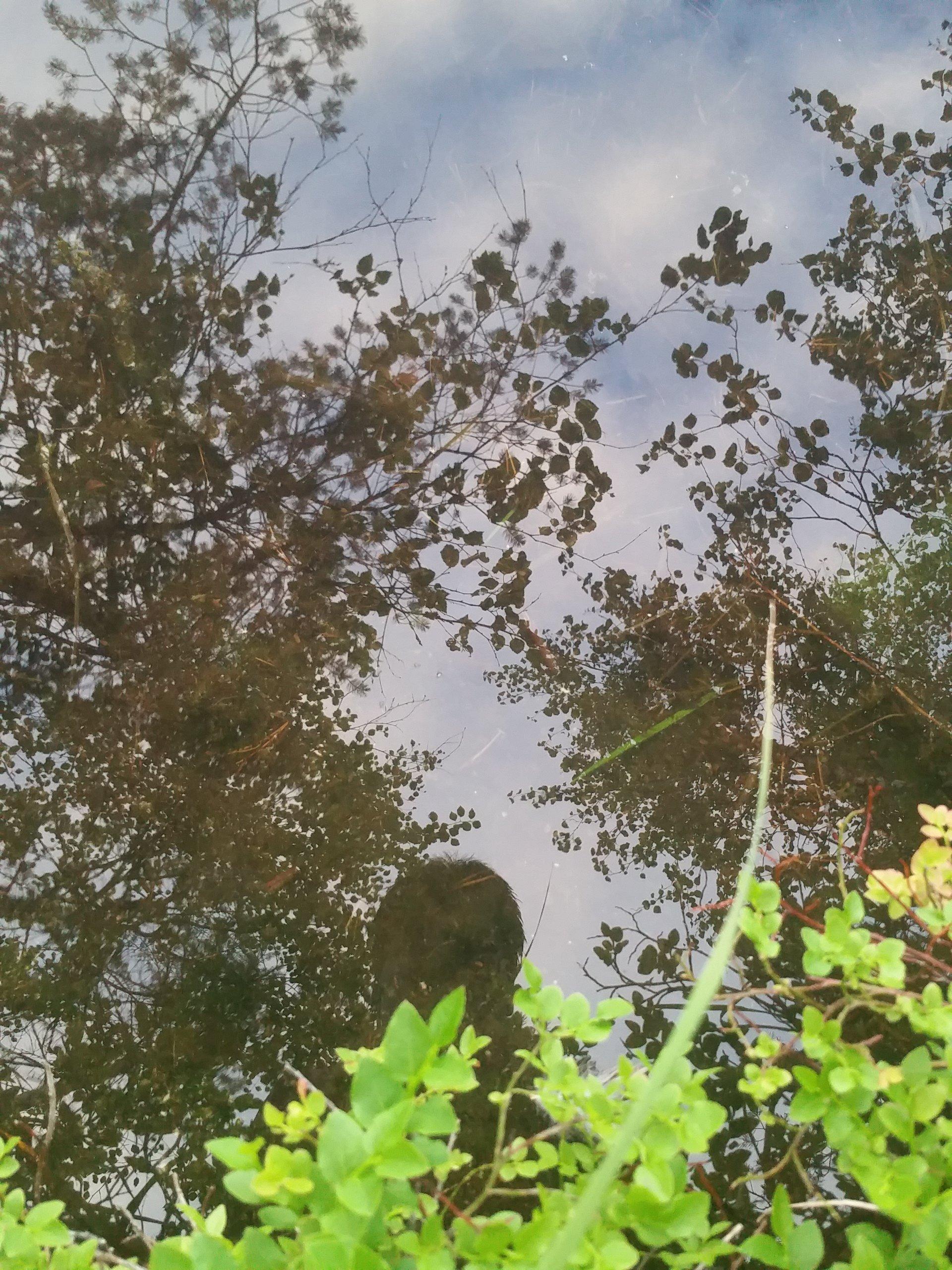 Solvallan Urheiluopisto