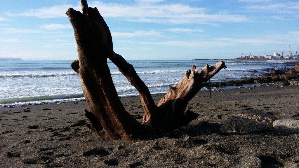 Spriggs Park Reserve Playground