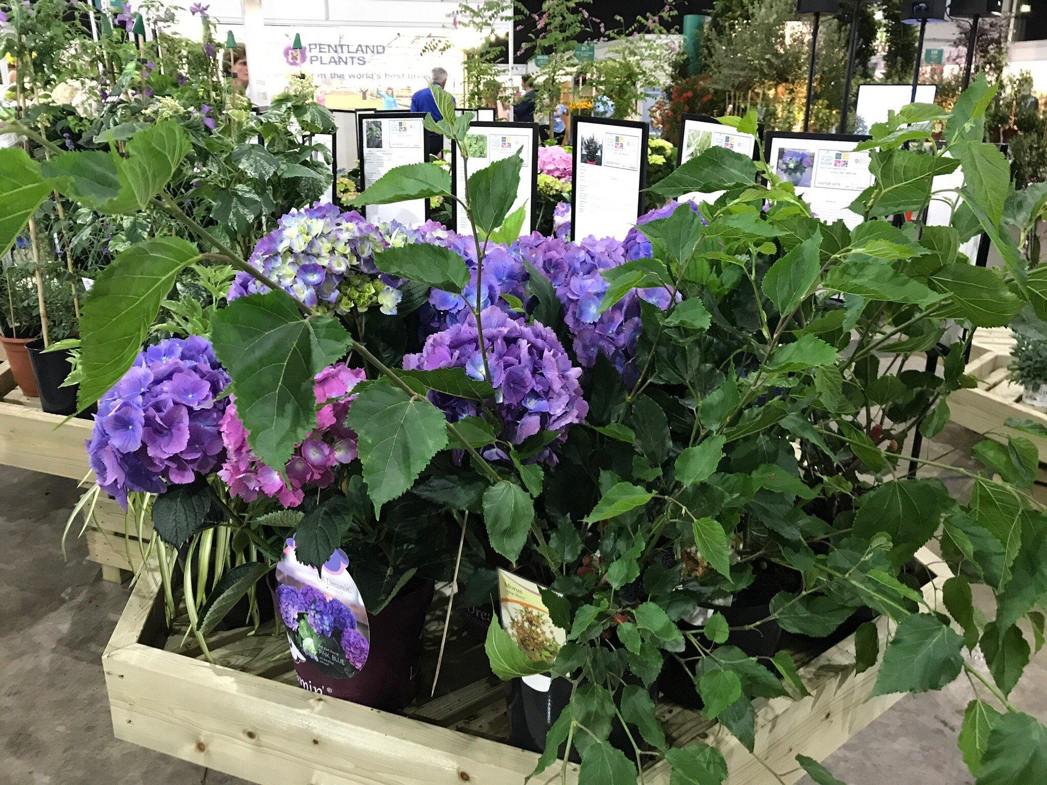 Mirfield Garden Centre