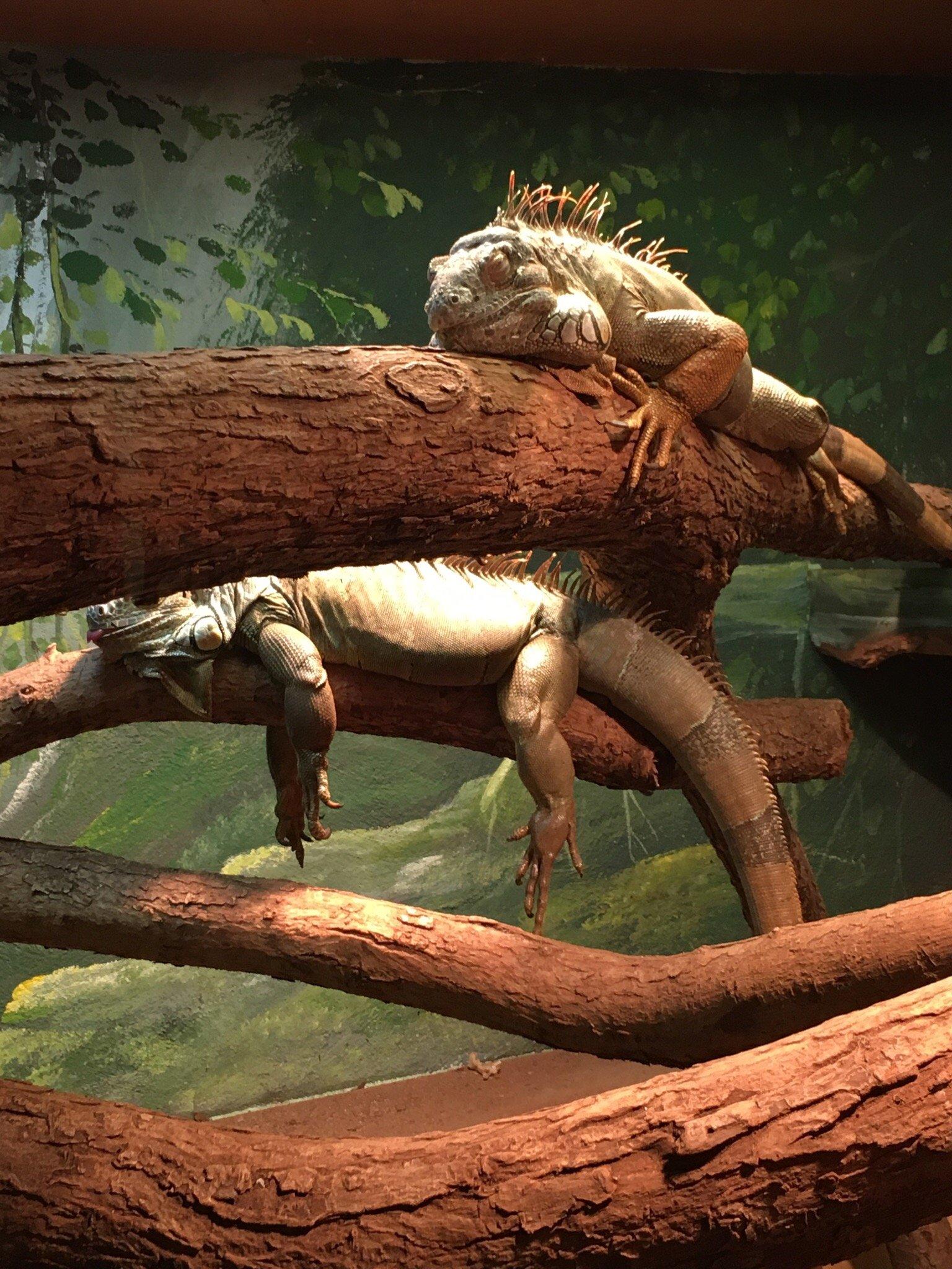 Tierpark Bad Liebenstein