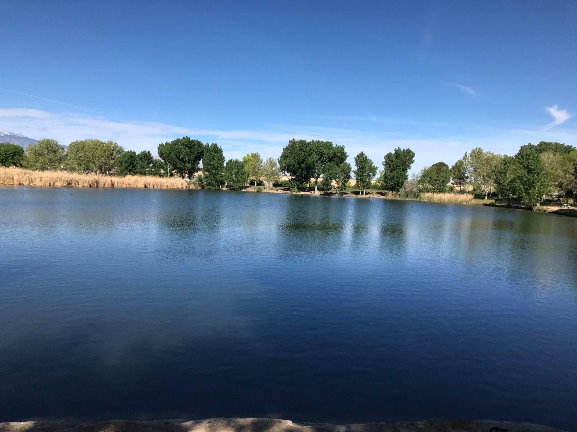 Photo by Hobnob_Hobo