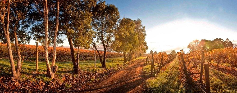 Tamar Visitor Centre