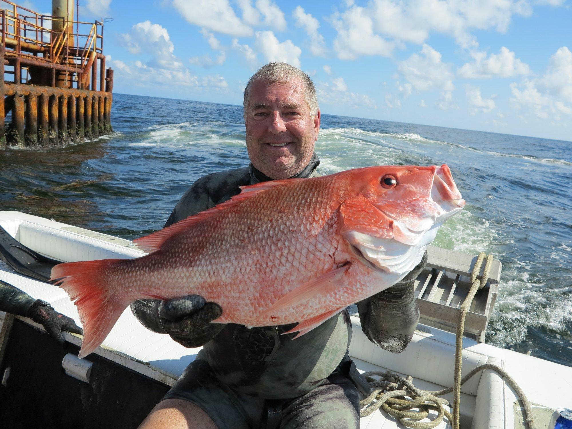 Pelagic Dive Charters