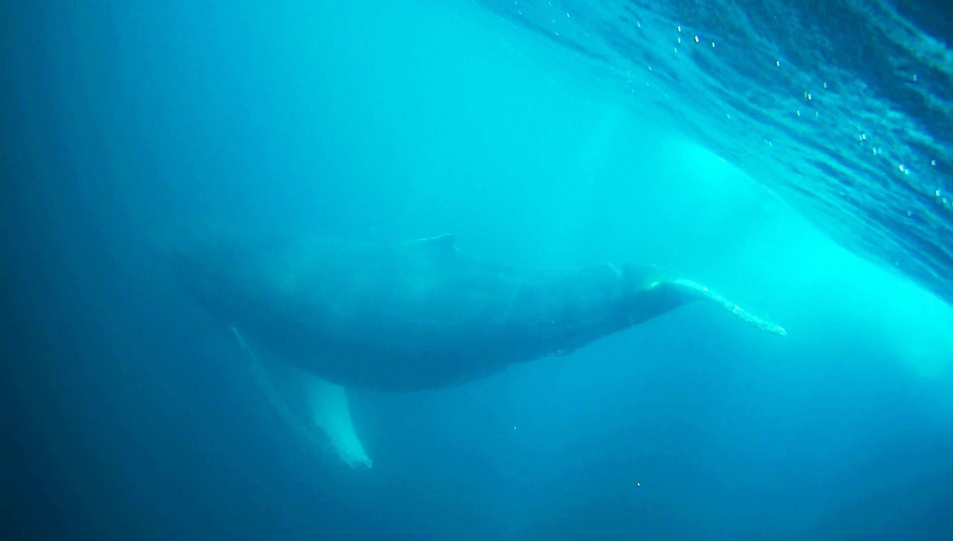 Ocean Quest Adventure Resort