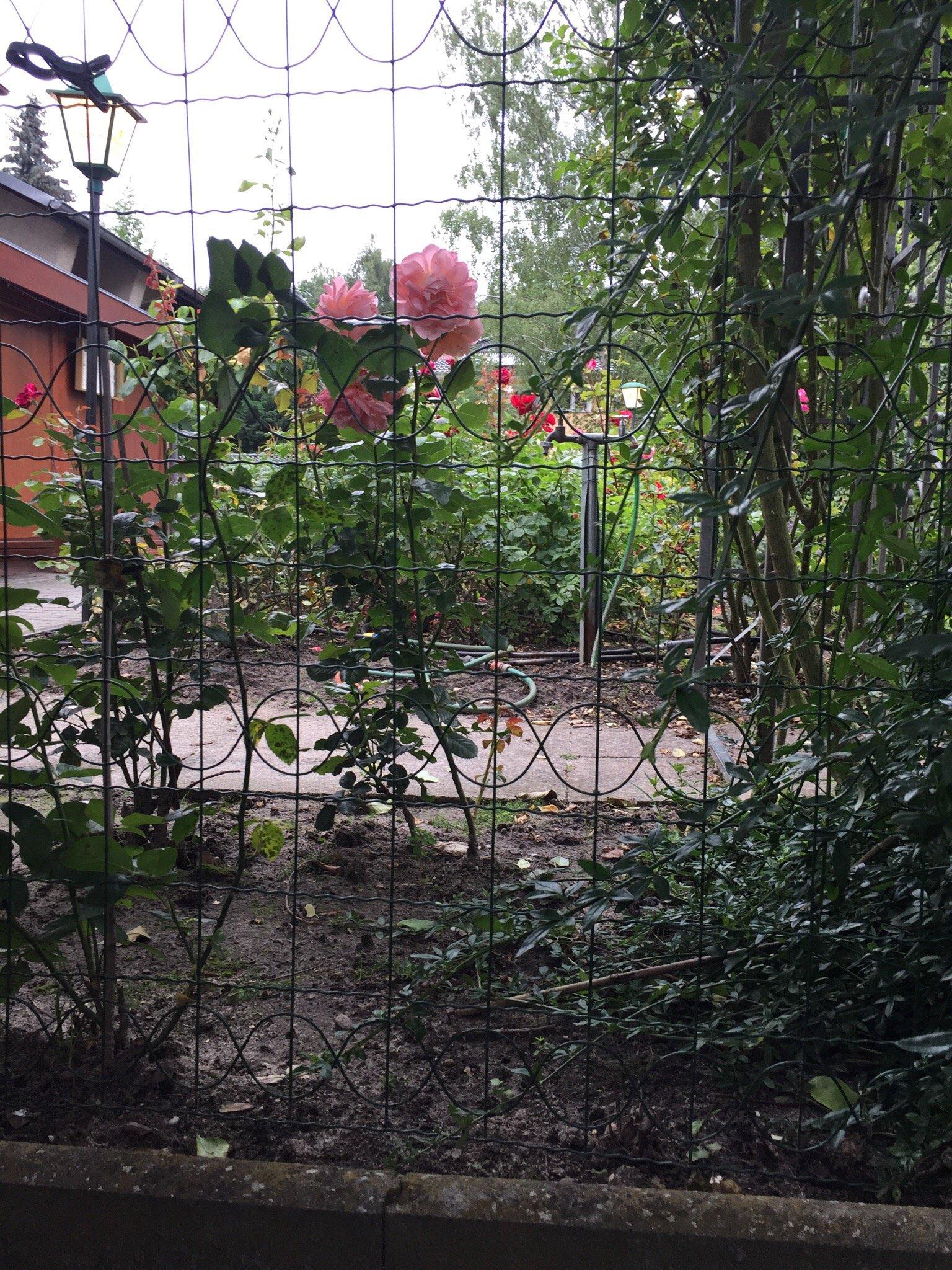 Cafe-Restaurant Rosengarten