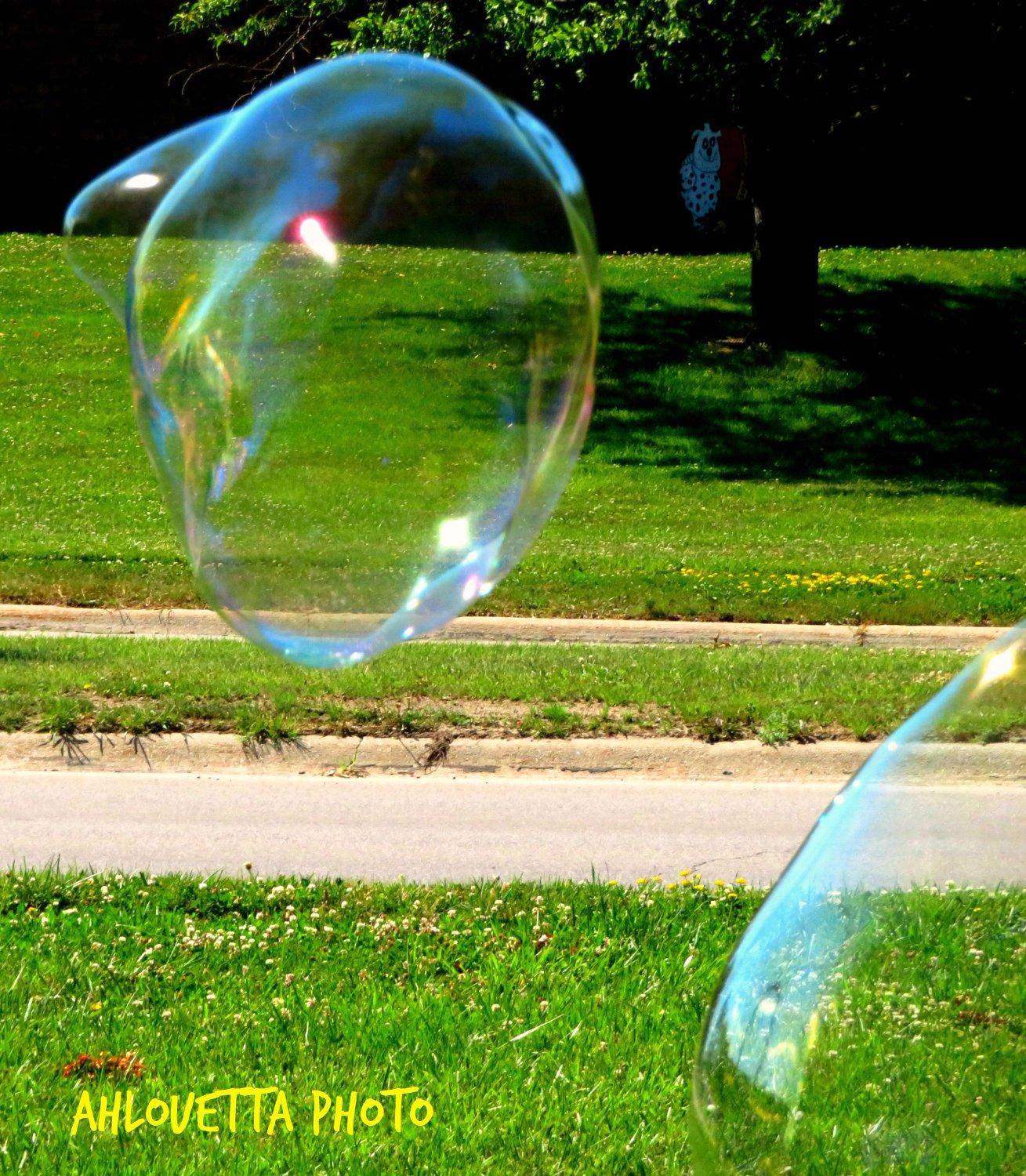 Florence Mill Farmers Market