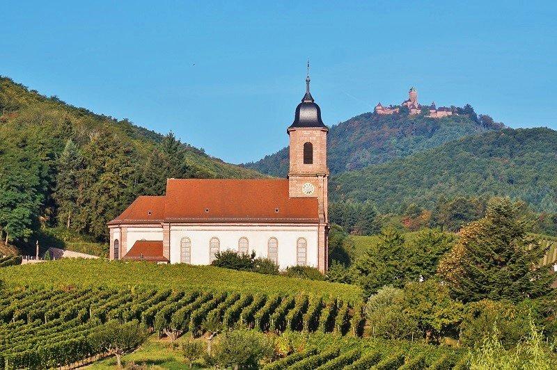 Au Coeur du Vignoble