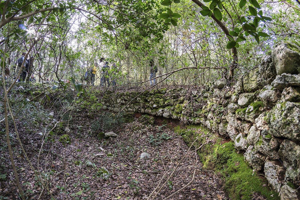 Bosco delle Pianelle Natural Reserve