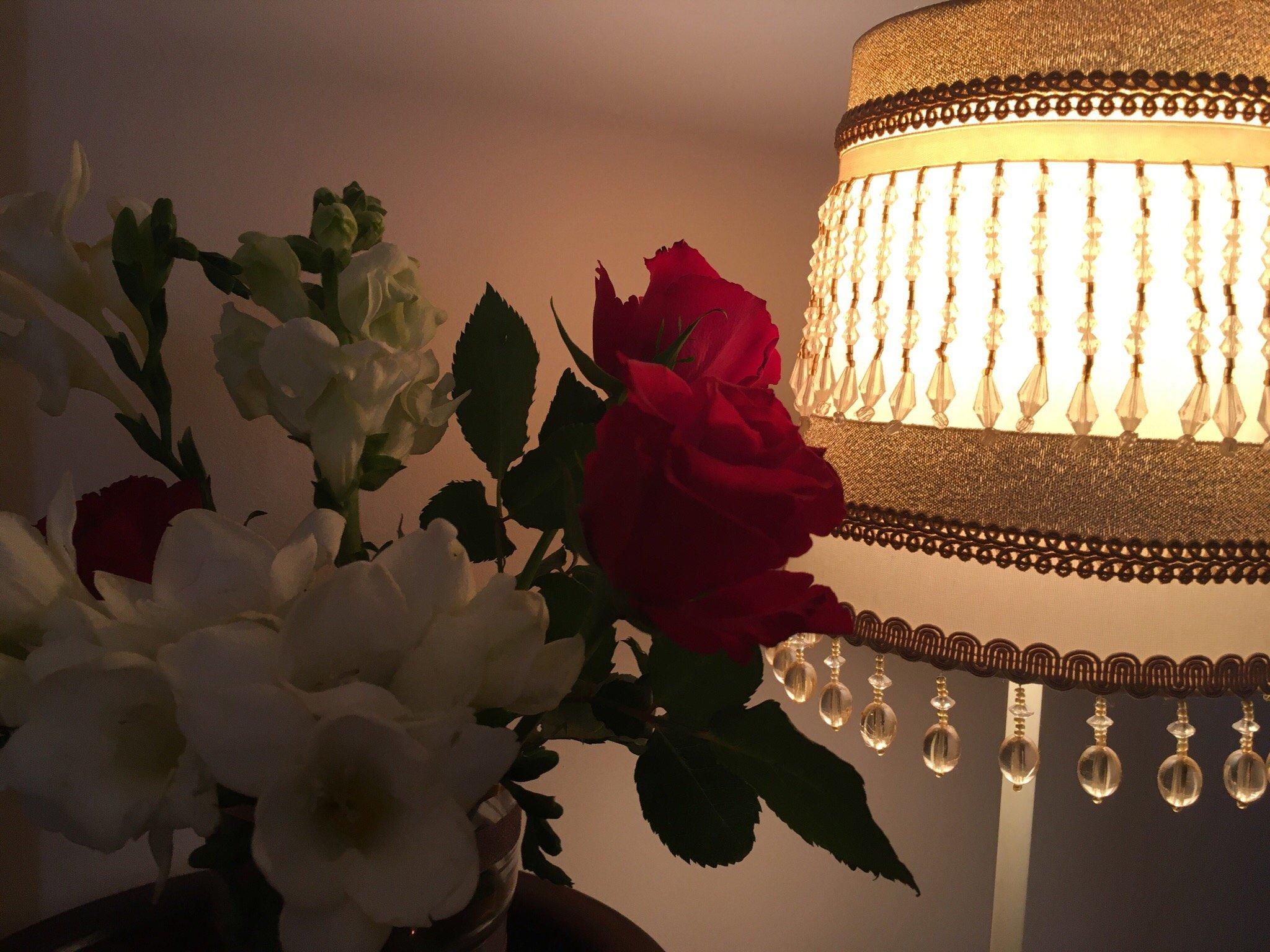 Photo by rest_restore_revive