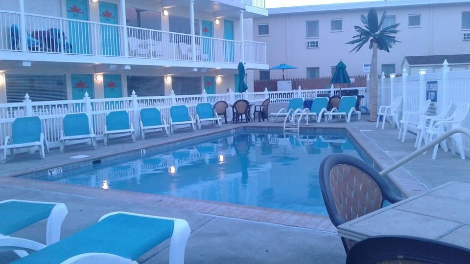 Photo by Littleroundboy