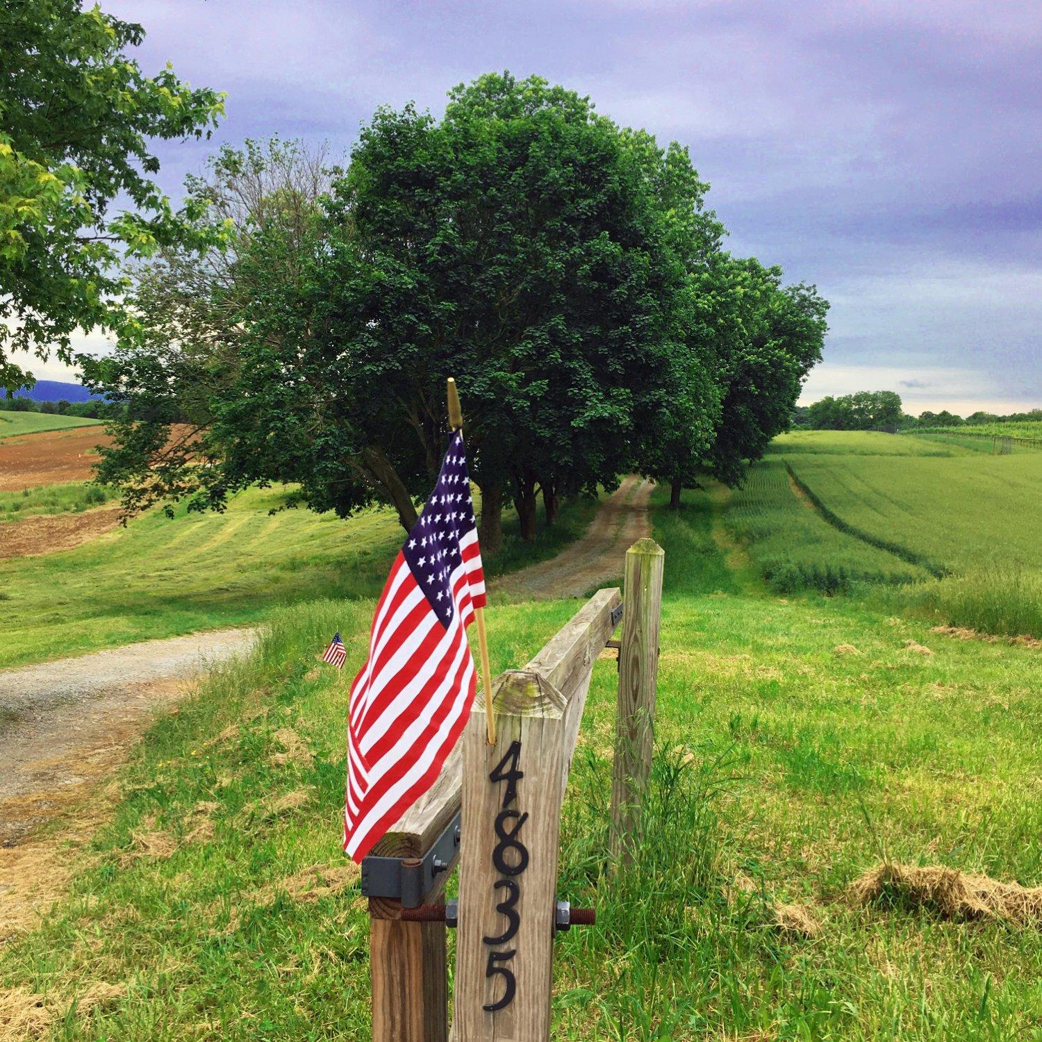 Antietam Creek Vineyards