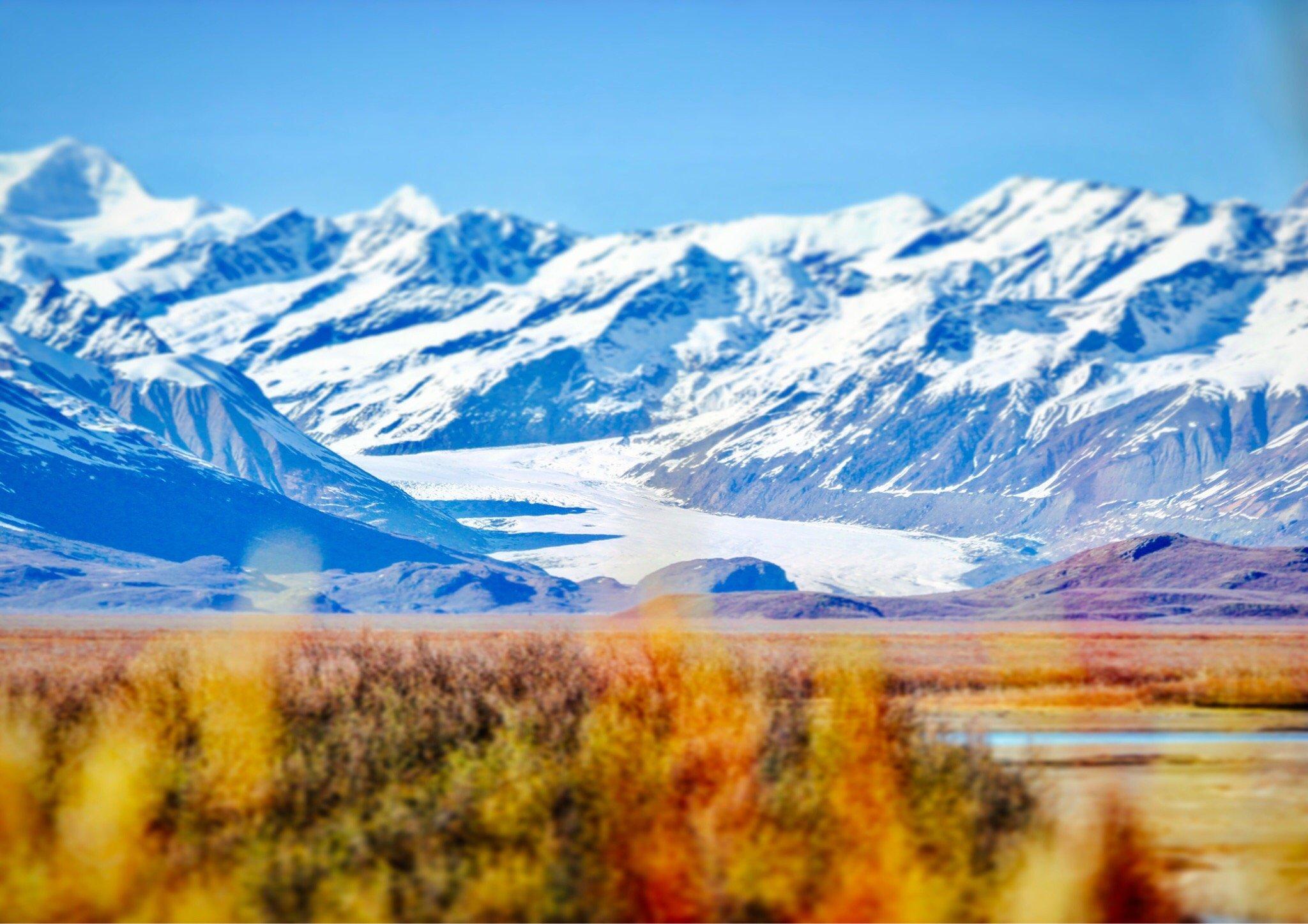 Denali Highway Tours